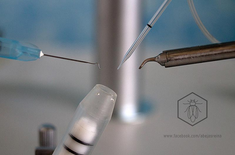 Partes del equipo de inseminación instrumental apícola